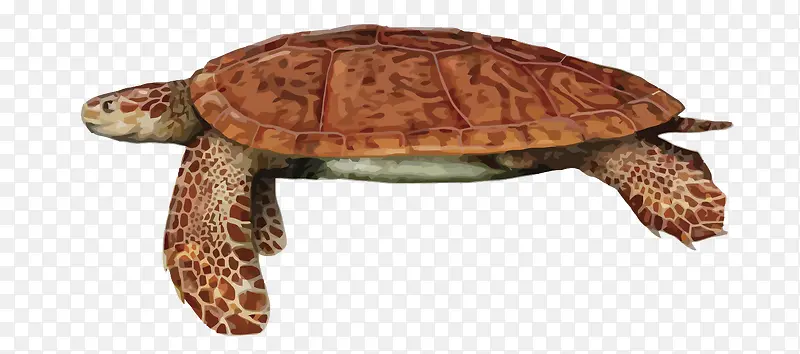 ʸ������-������