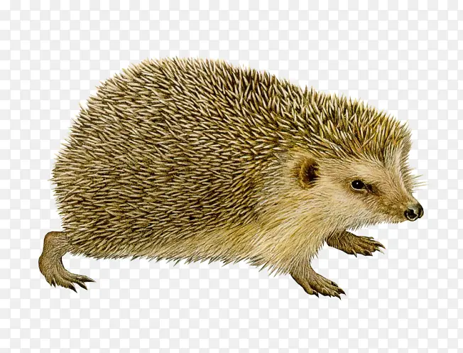 ������-������