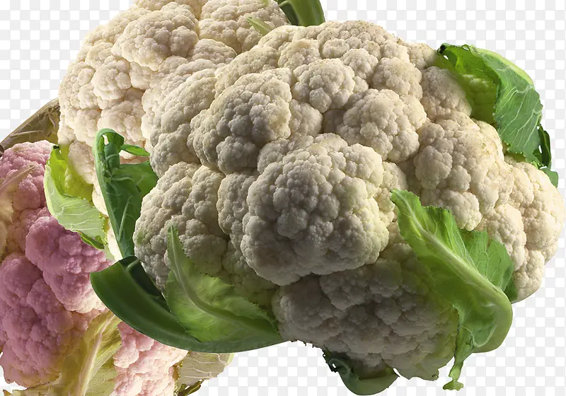 ���˳���ʳ��-������