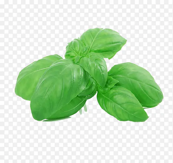 ��ɫ����-������