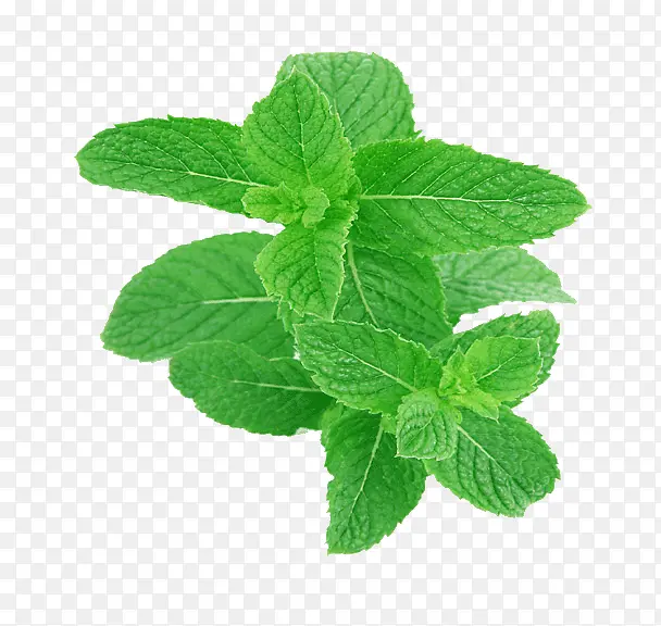 ��ɫ�߲�-������