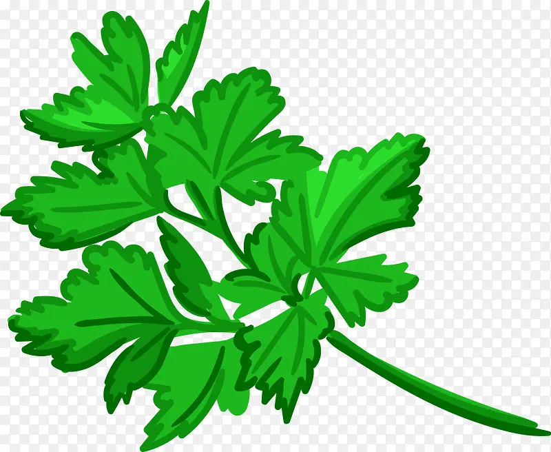 ��ɫ�۲�-������