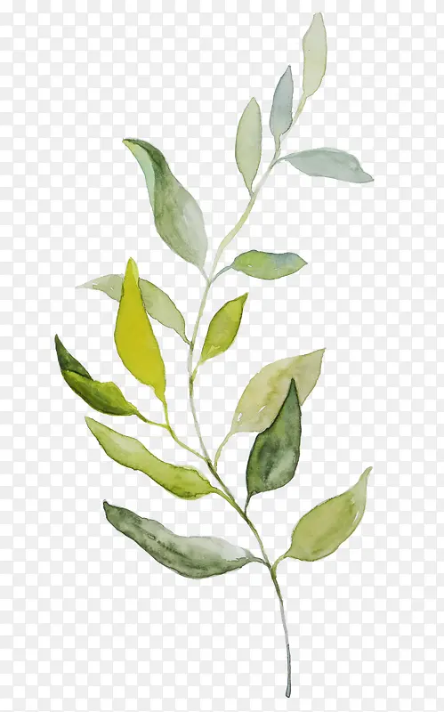 ��֦װ���ز�ͼ��-������