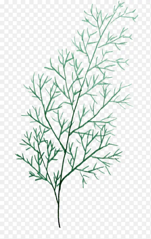 ��֦װ���ز�ͼ��-������