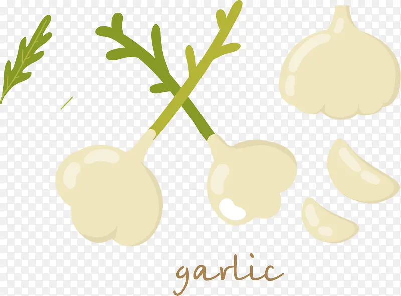 ��ͨ�ֻ��߲�-������