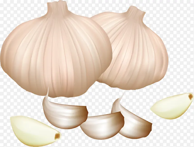 ��ͨ����װ�β廭���-������