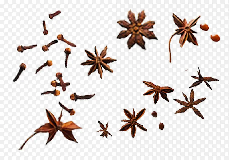 �˽�������������ز�-������