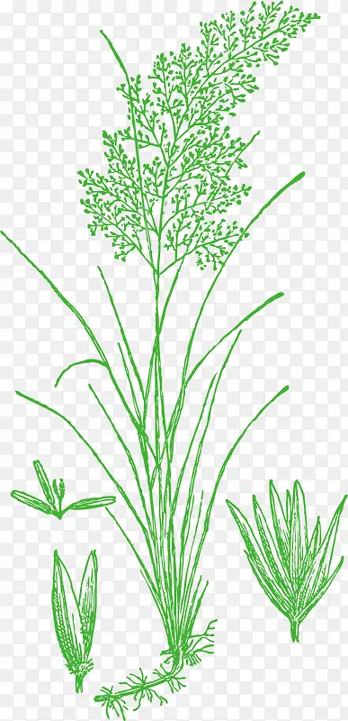 �ֻ��װ�μٻ��ٲ�-������