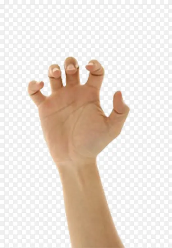 ����ָ����ͼƬ-������