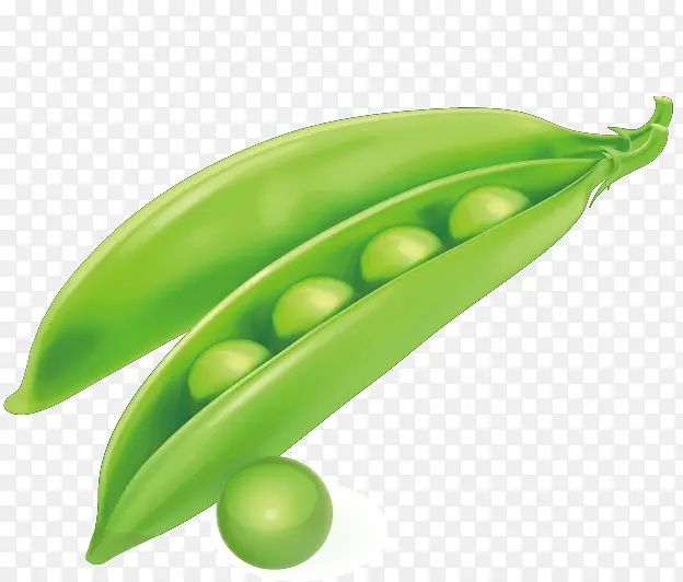 �ֻ�����߲��ز�-������