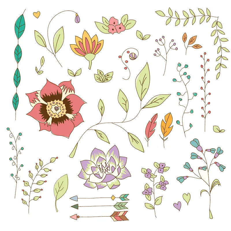 ��Ȼ�ֻ�Ԫ����Ҷ-������