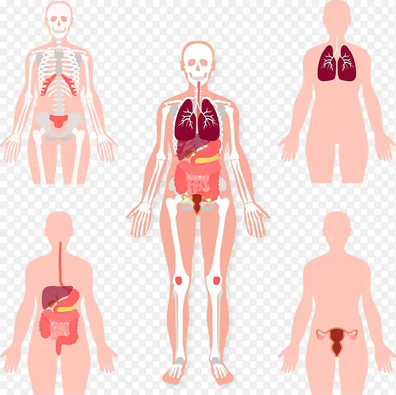 �����������ϵͳʸ���ز�-������