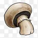 Ģ��ˮ���߲˽���ȥ��ʱ��-������