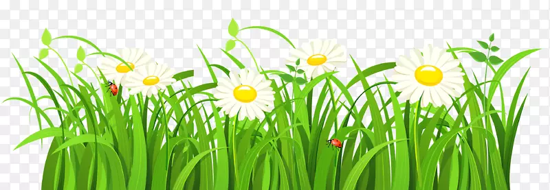 ��--��-������