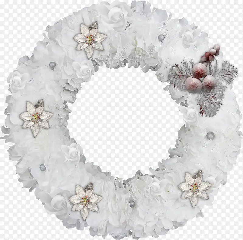 ��ɫ��Ȧ-������