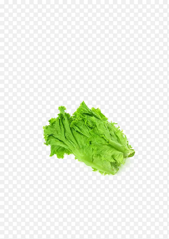 ʵ����ɫ�߲�����-������