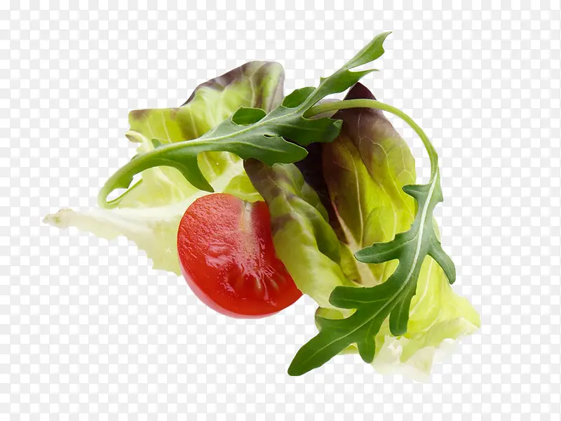 �����߲�-������