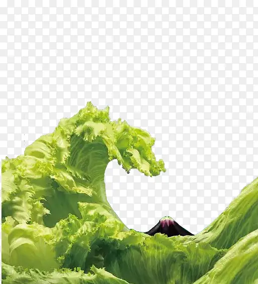 �߲��˻�-������