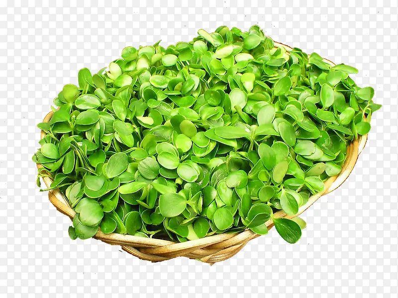 �㴻��-������