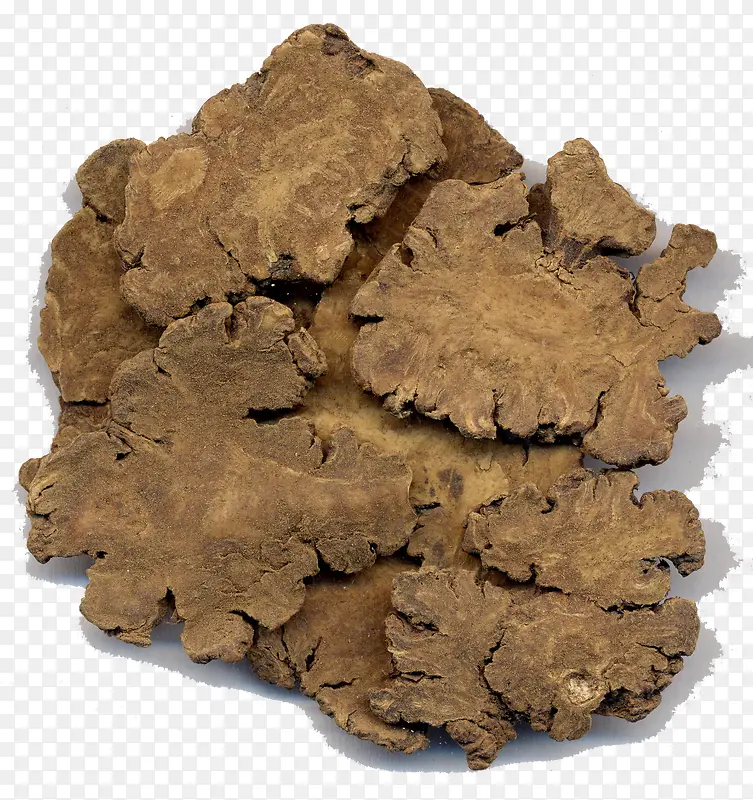 ��ɫ�����-������