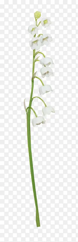 һ���ɫ��-������