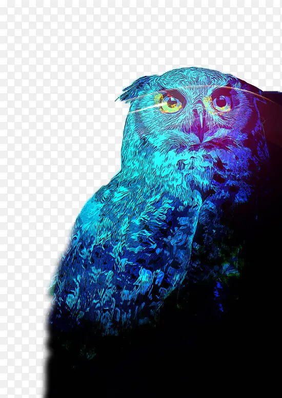 èͷӥ�廭-������