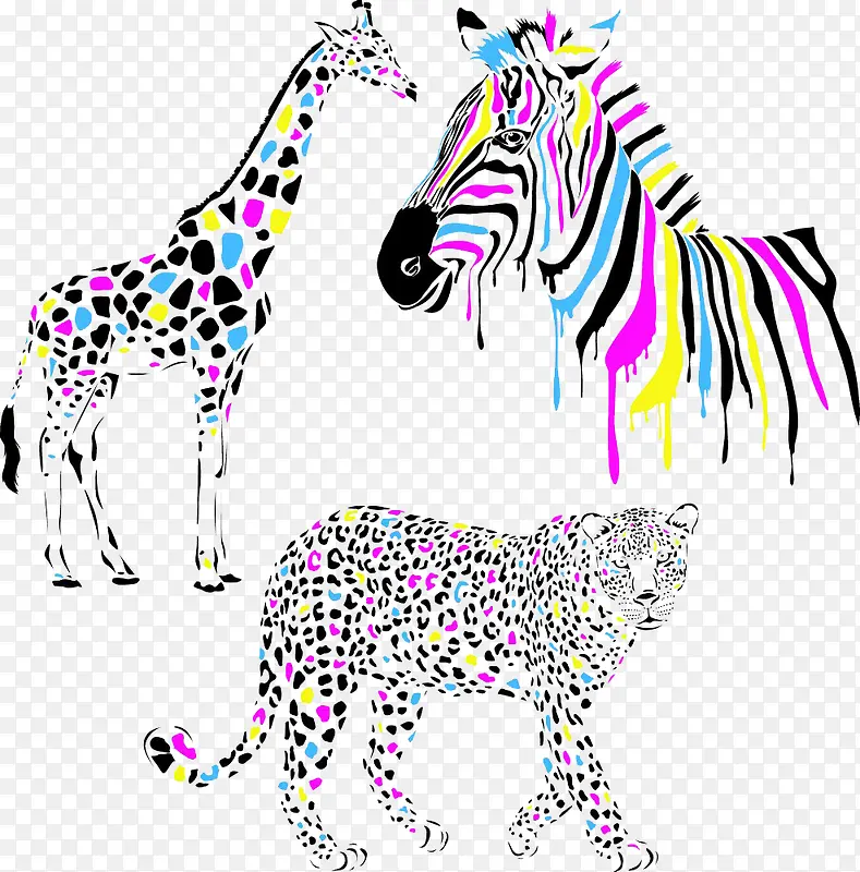 ��ɫ����ʸ��-������