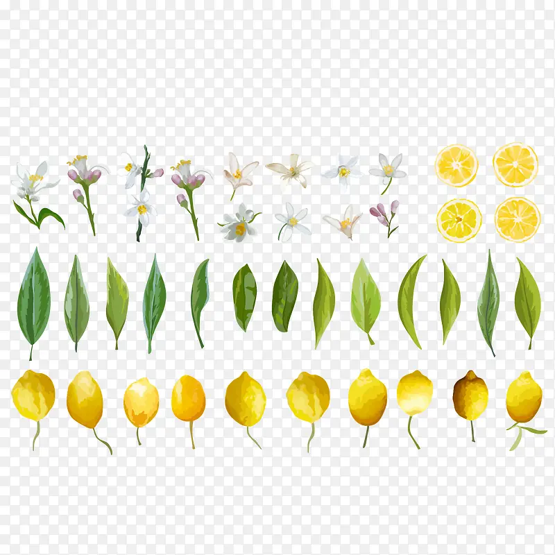 ����Ҷ�ӹ�ʵ�������-������