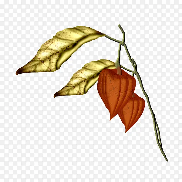 ��ή�ĵ�����-������