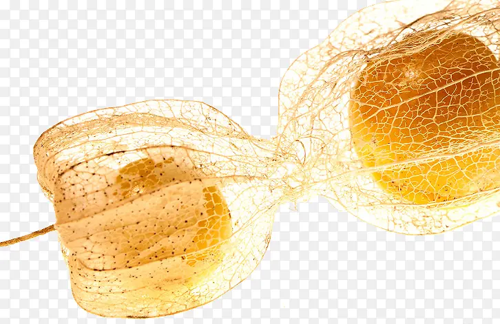 ���ݲݵ�����-������