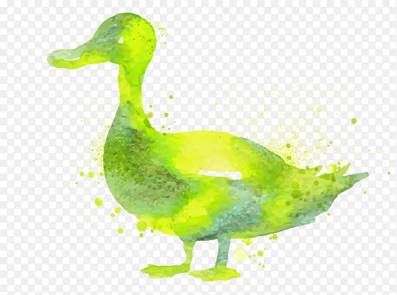 ˮ��Ѽ��-������