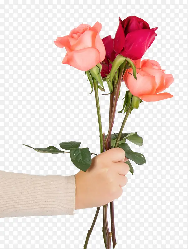 ��Ϧ���������˽�õ�廨-������