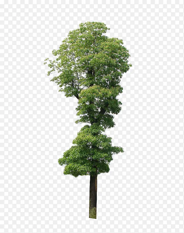 ����-������