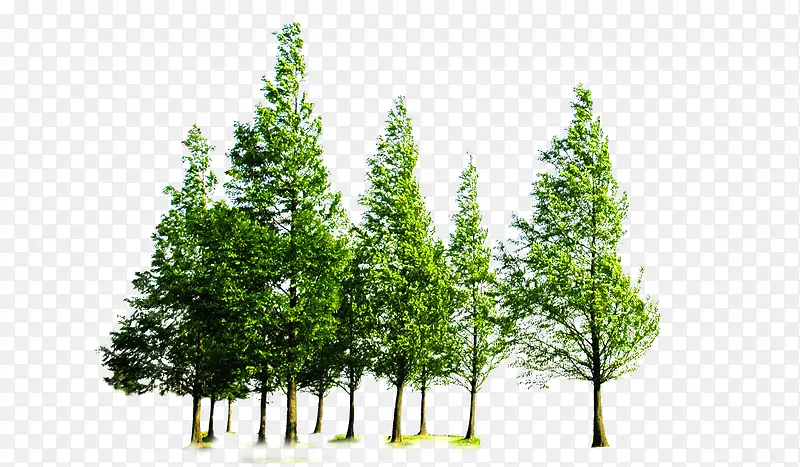 ��-������