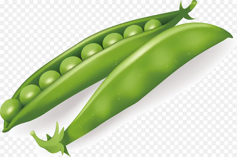 �ֻ��߲��ز�-������