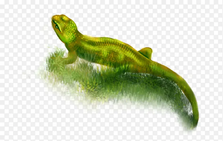 ��ɫ�ڻ�-������