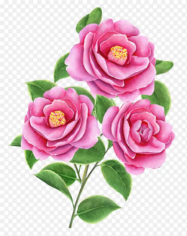 ��ͨ�ֻ�ۺ�ɫ��-������