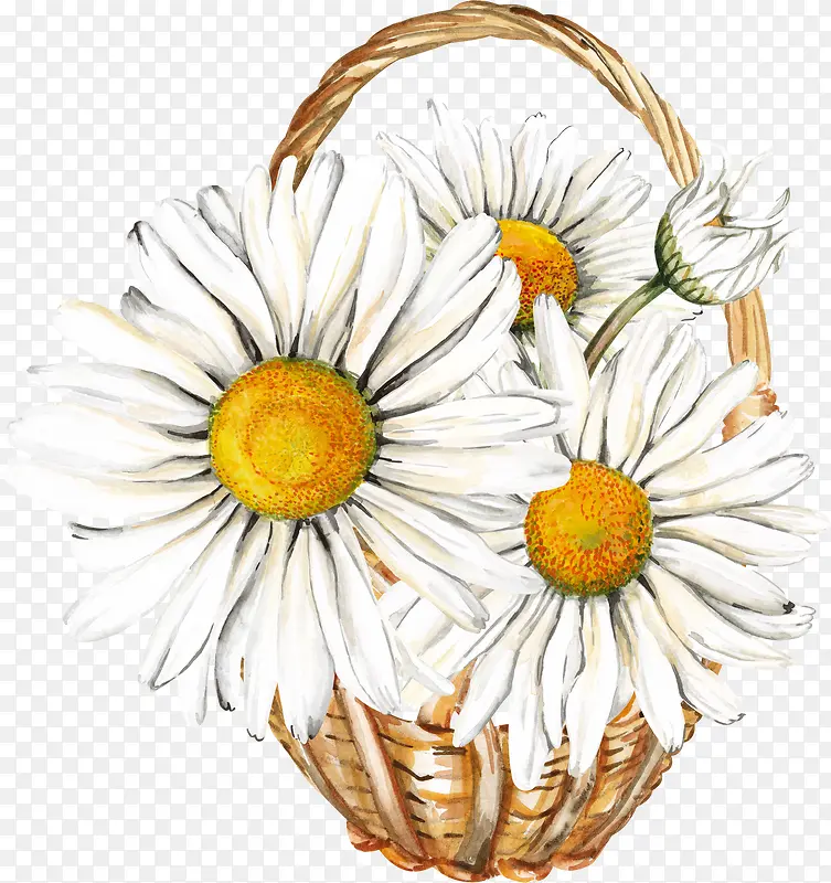 �ֻ��ɫ���տ�-������