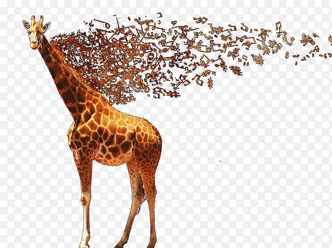 ����-������