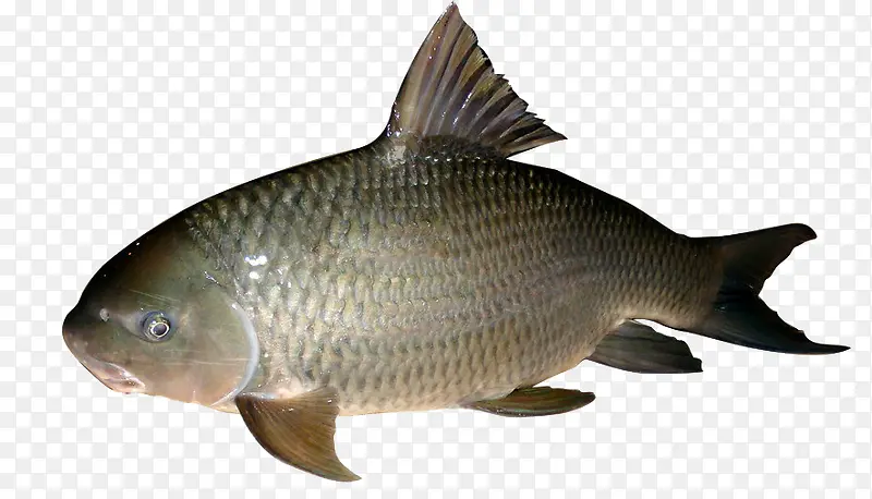 ���ز�ͼ-������