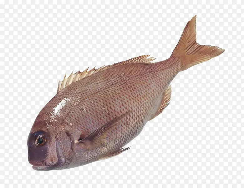 �㶯���ز�-������