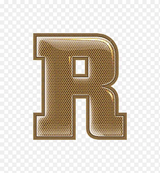 ��������ĸR-������