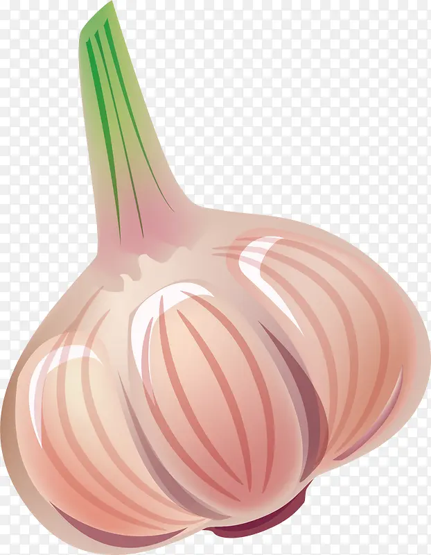 ������ʳ������-������