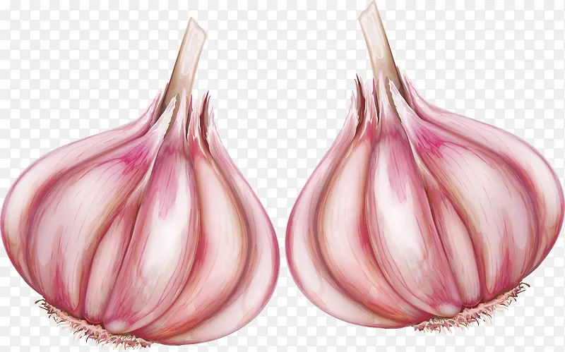 ������ʳ������-������