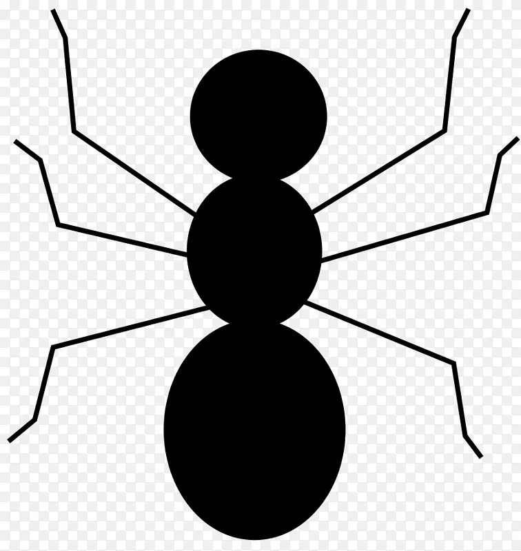 ����ȥ�о������ʼ���������-������