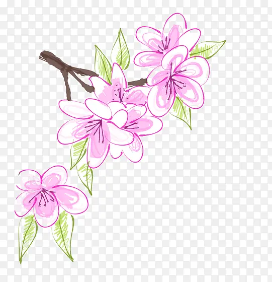 �ֻ濨ͨ��ɫ�һ�-������