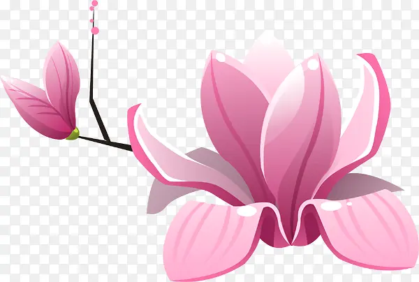 ��ɫ����-������