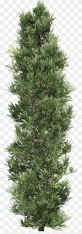 ������Ӱ��ɫ��������-������