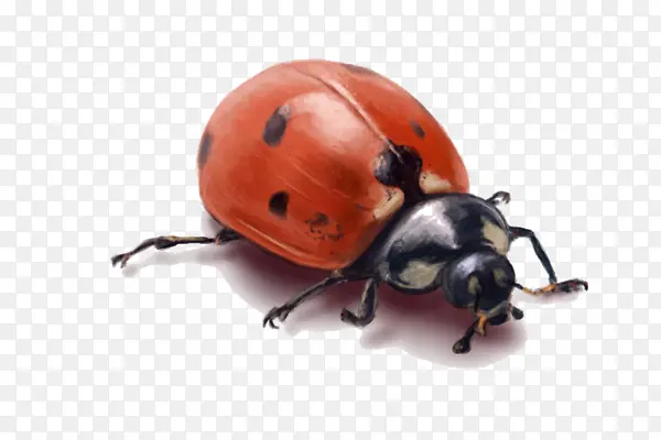 ����ư��-������