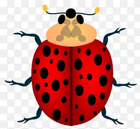 ����-������